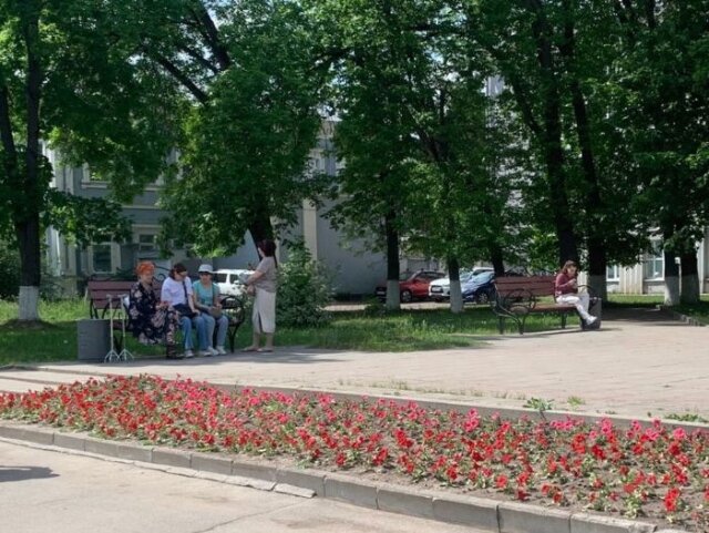    Отцветшие на ивановских клумбах тюльпаны меняют на однолетники