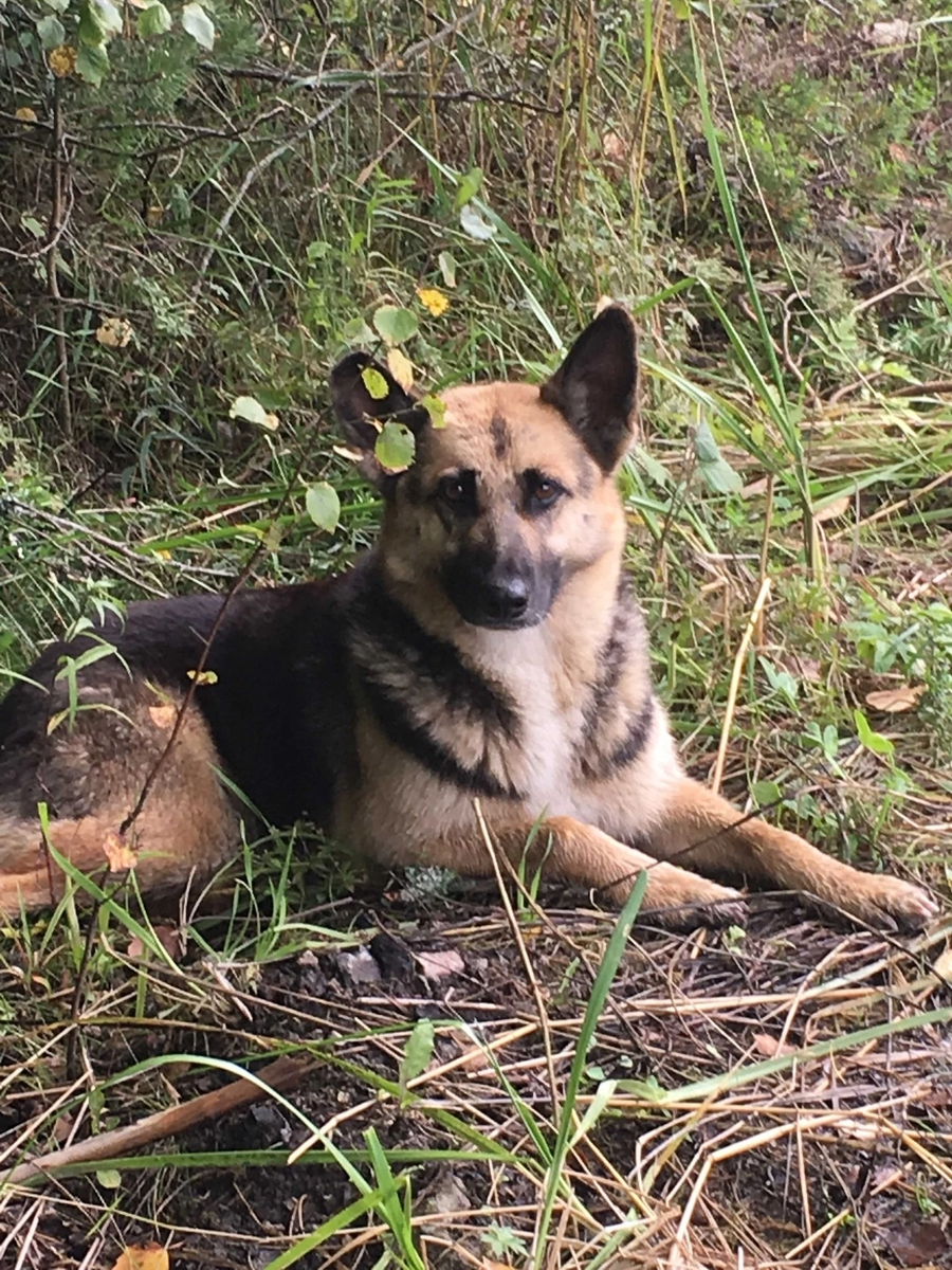 ФОТО со страницы Алексея Николаева