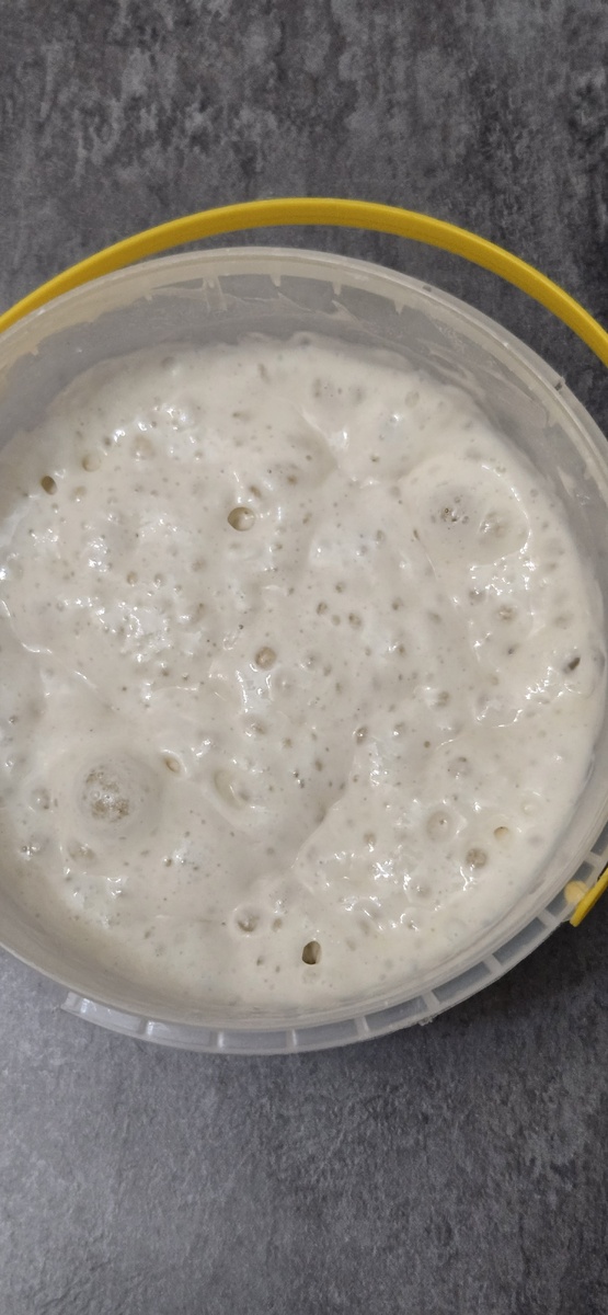 Моя пшеничная закваска 100 % влажности.