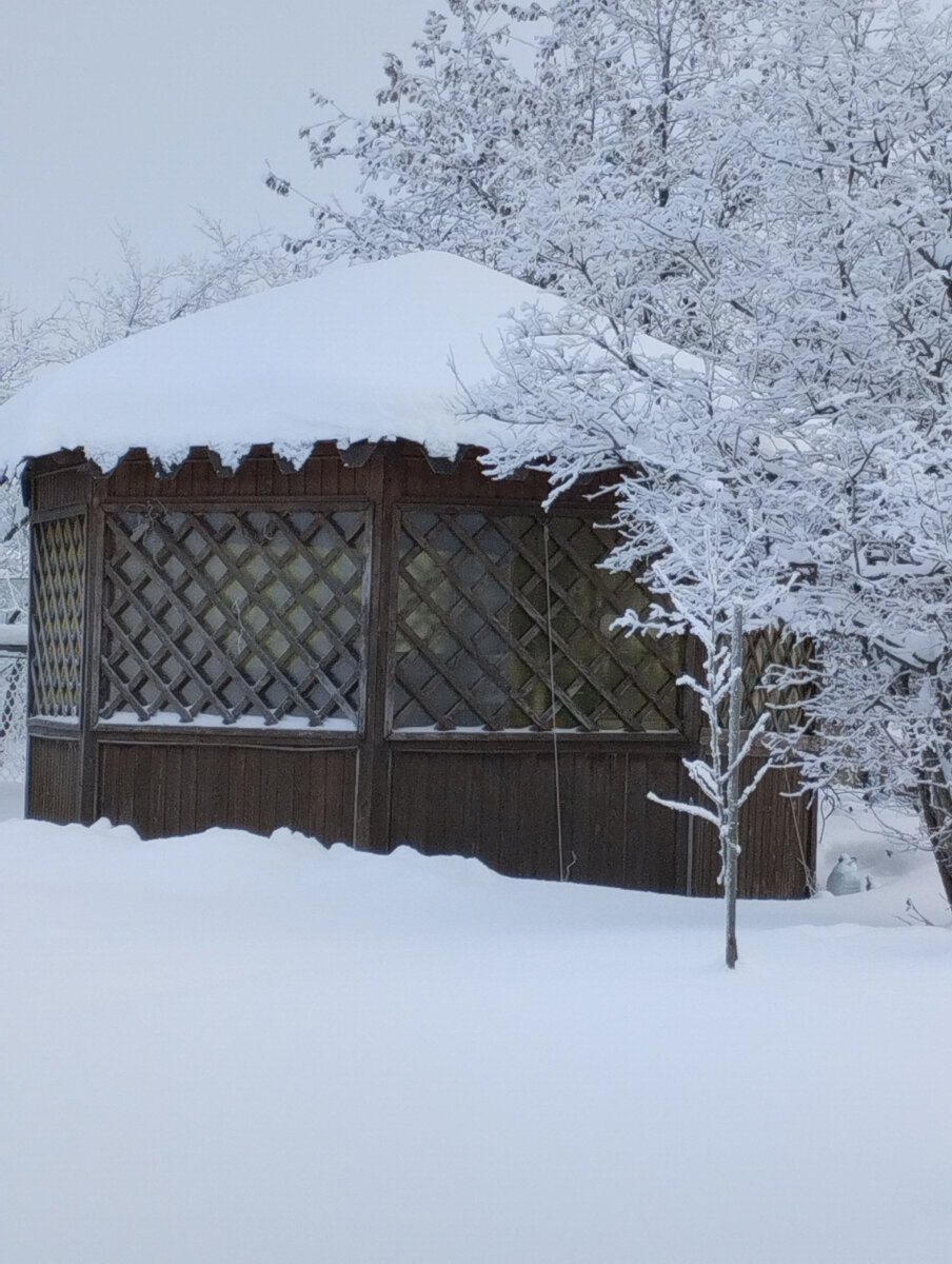 Совсем недавно было так