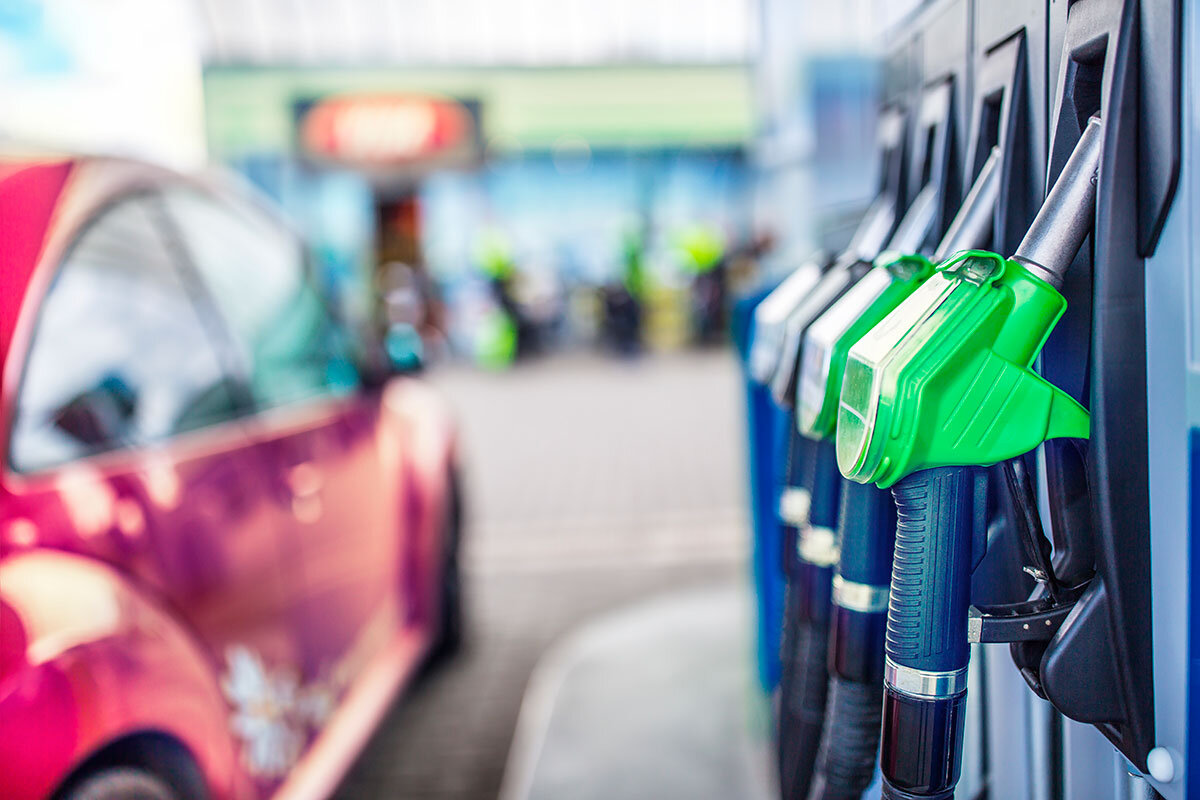    Фото: Marian Weyo / Shutterstock.com