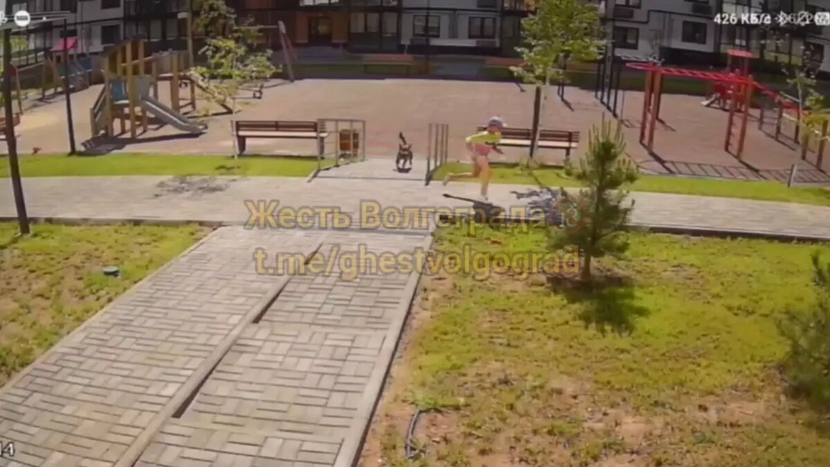    Источник: t.me/ghestvolgograd