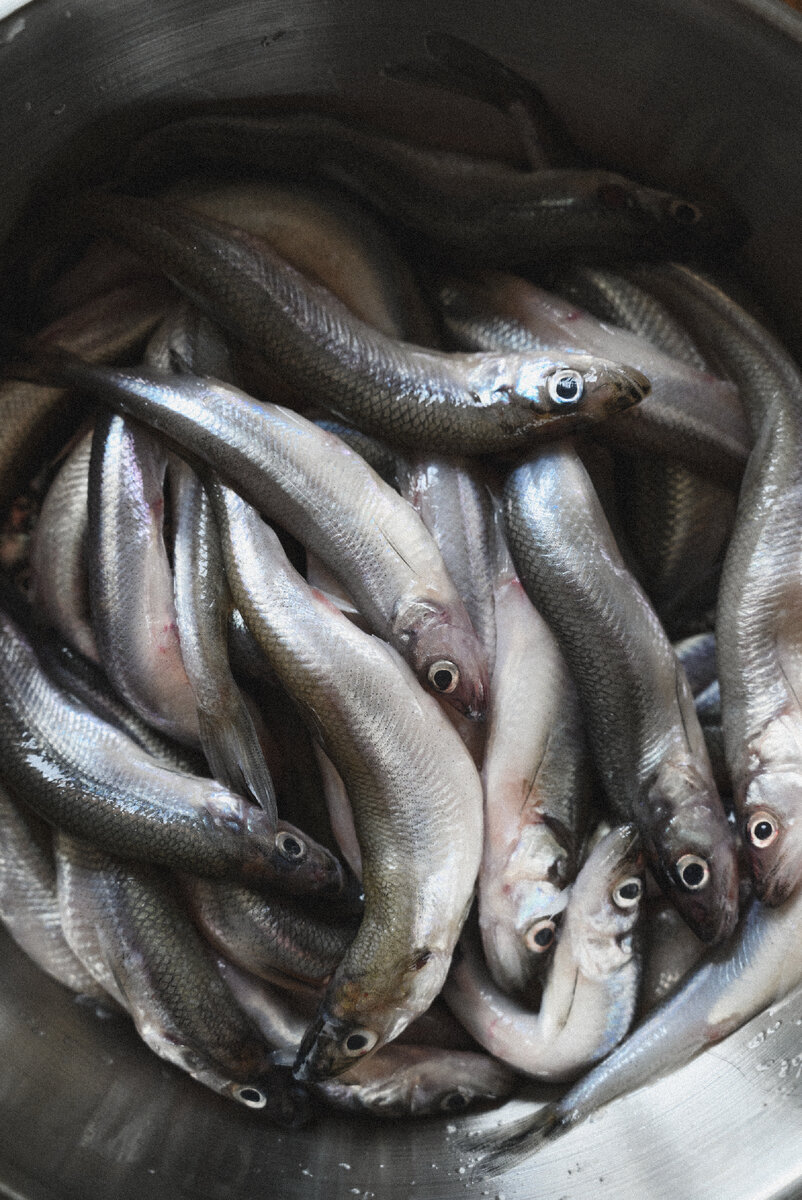 Фото : Анна Гончар 