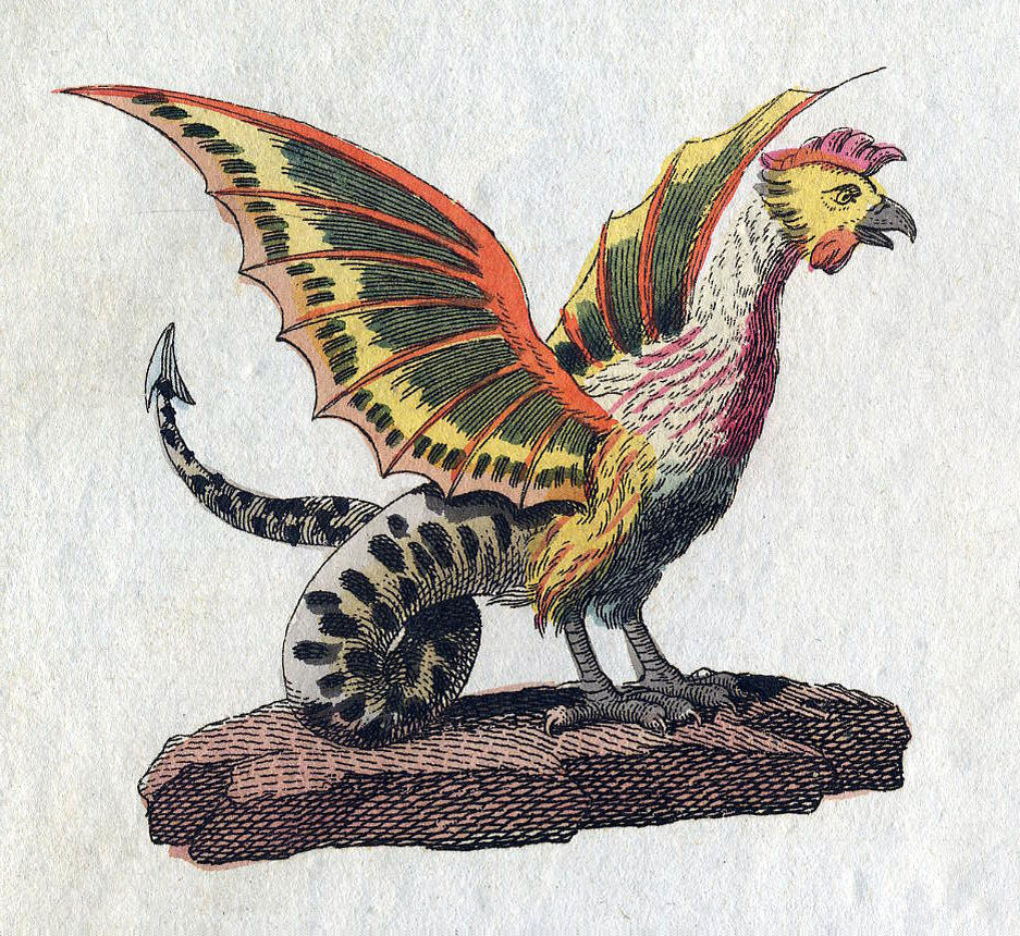 Изображение василиска из книги Фридриха Бертуха, 1806 года/Wikimedia.org (Общественное достояние)