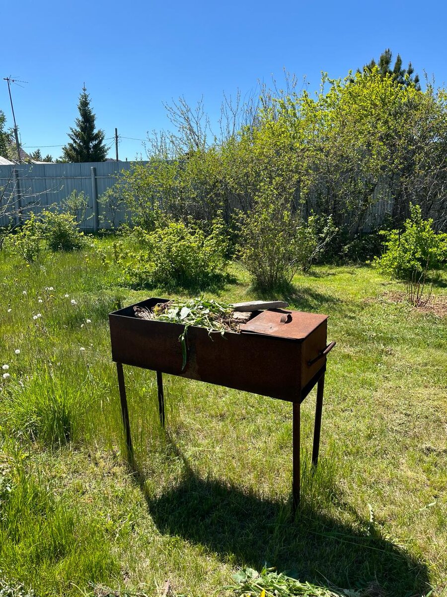 Узнали?. Фото автора.