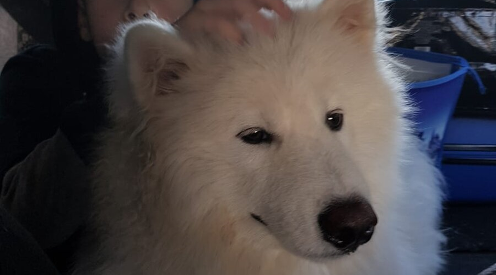 В деревне. Часть 1.