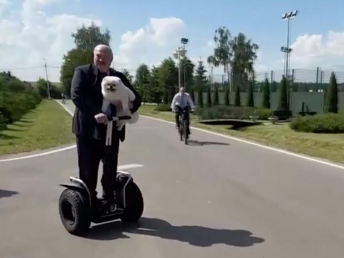    Президент Белоруссии Александр Лукашенко со своей собакой Умкой. Кадр видео© Белтелерадиокомпания