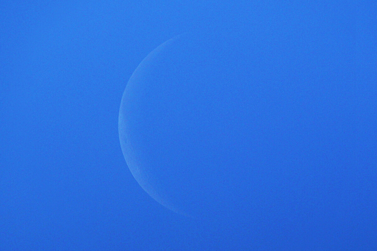 Луна на утреннем дневном небе 3 июня 2024 года, фото автора 