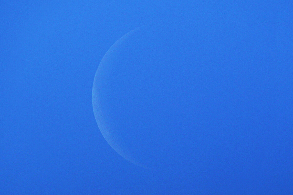 Луна на утреннем дневном небе 3 июня 2024 года, фото автора 