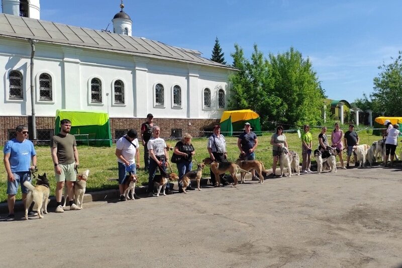    На межрайонную выставку владельцы привезли животных из Вологодского, Кадуйского, Устюженского, Череповецкого районов и Санкт-Петербурга.