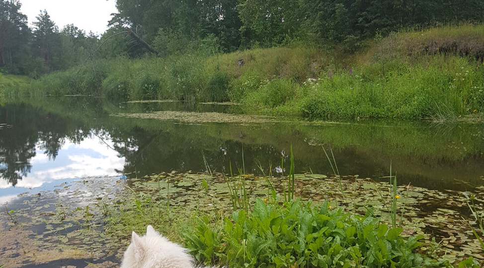 В деревне. Часть 2.