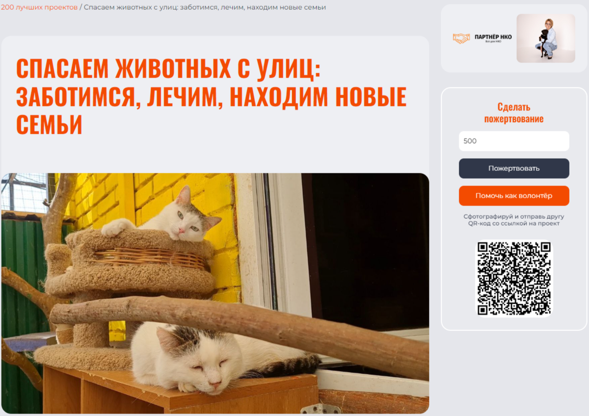 Изображение с сайта reg-nko.ru