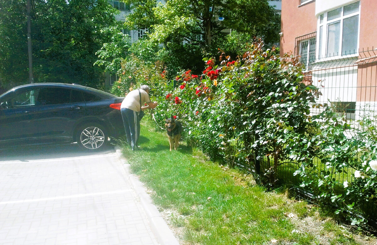 Фото автора