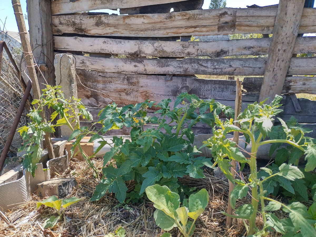 Это на высокой грядке