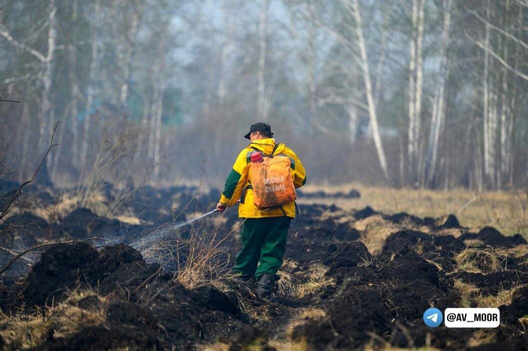 Фото: из Telegram-канала Александра Моора