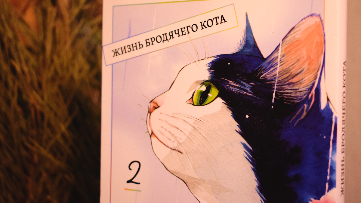 Обложка Т.2 «Жизнь бродячего кота» Сиракавы Г. / Г. Сиракава, Екатеринбург: Фабрика комиксов, 2022 г.