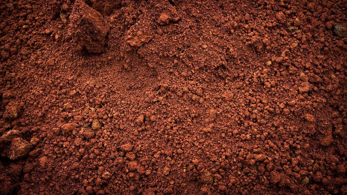 Источник: shutterstock.com