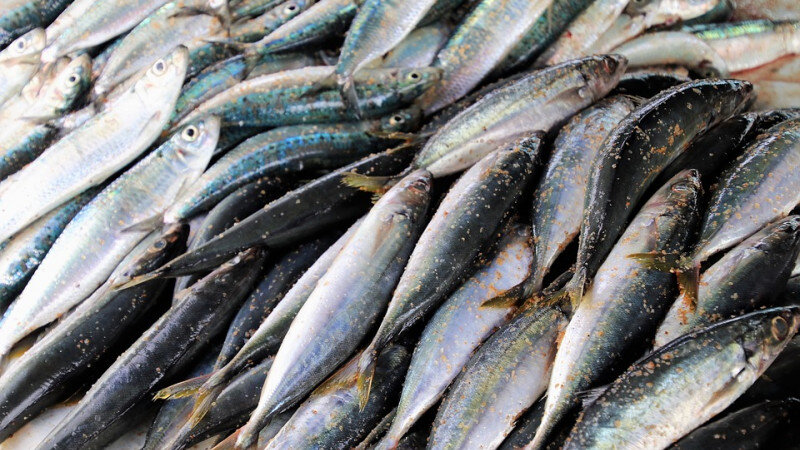     Рыба, морепродукты pixabay.com/