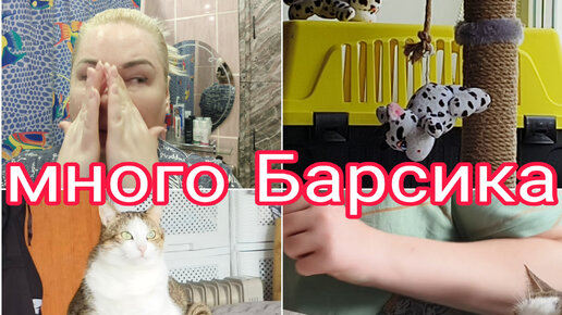 ДЕЛАЮ МАНИКЮР МАРИНЕ * ЭНЗИМНЫЙ ПИЛИНГ * БАРСИК ГОЛОДАЕТ * ПРО МОИ РАЦИОНЫ