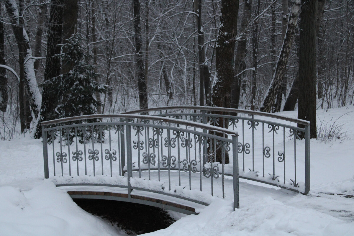 Собственное фото