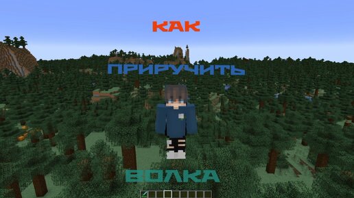 🐺Как приручить волка в Minecraft