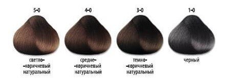 Оттенки брюнета из цветовой палитры красителя