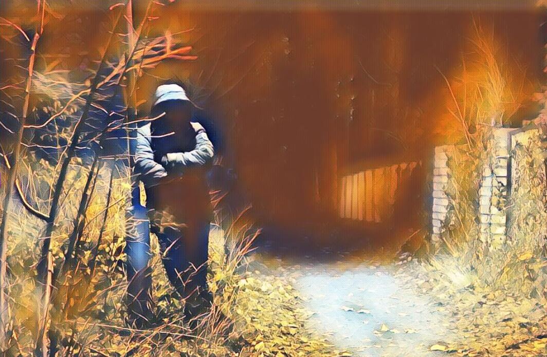 фото: pixabay.com