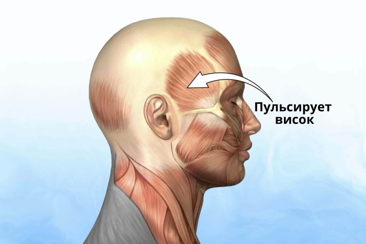 Головная боль пульсирует в висках