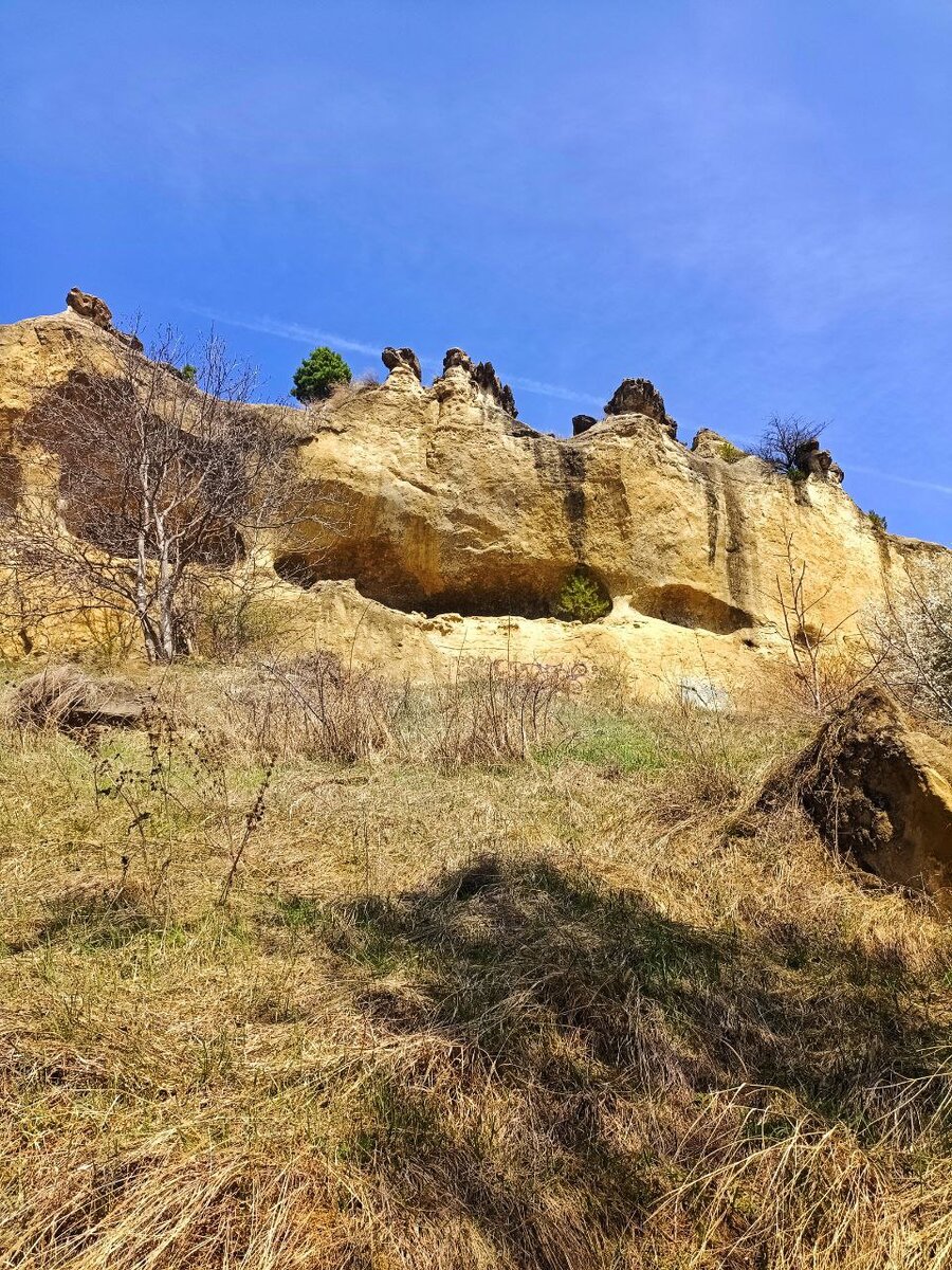 фото из личного архива