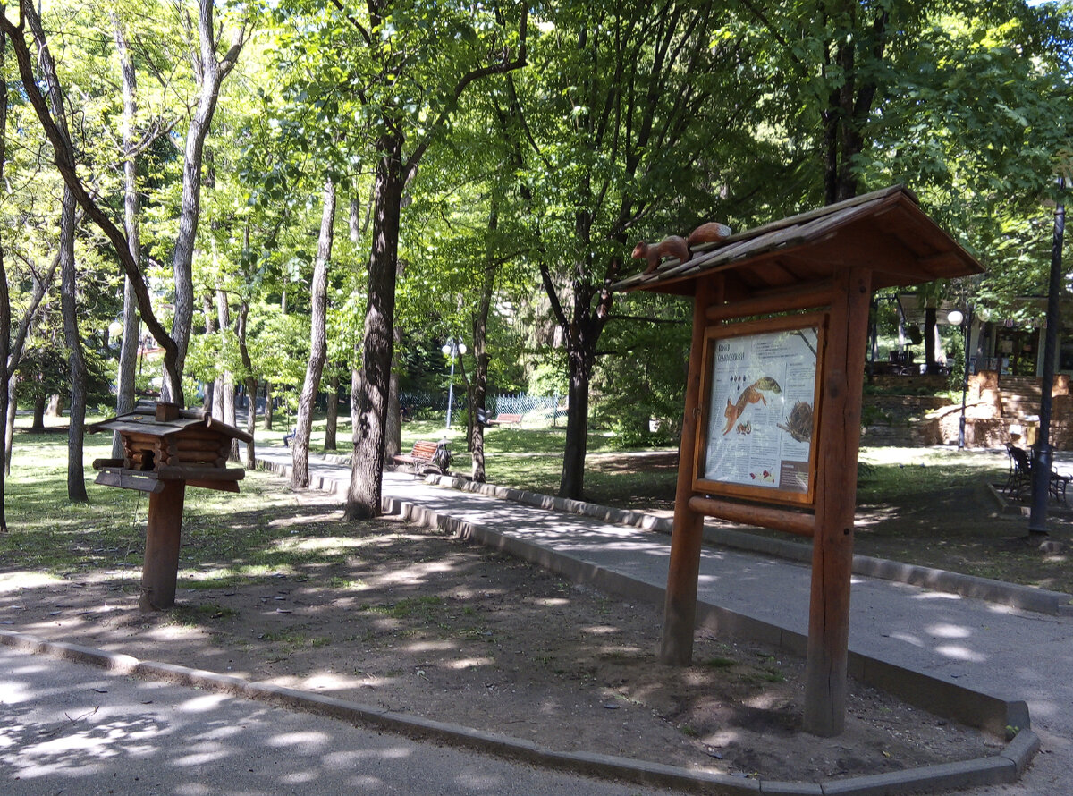  В нижней части Курортного парка в Кисловодске, недалеко от Цветочного календаря и памятника А, С.