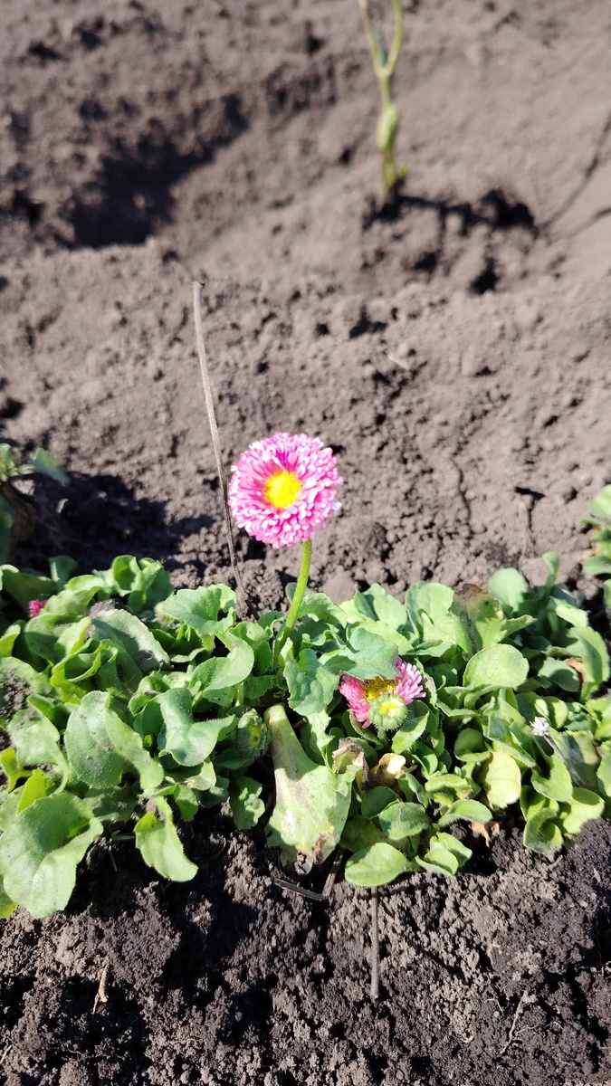 С чего-то нужно начать... 