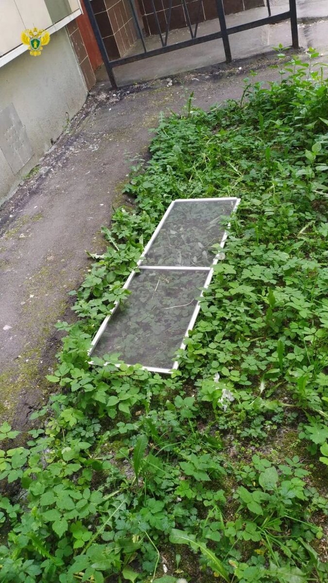    Фото: Прокуратура Москвы