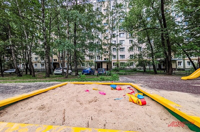    Фото:  АиФ/ Елена Краснова