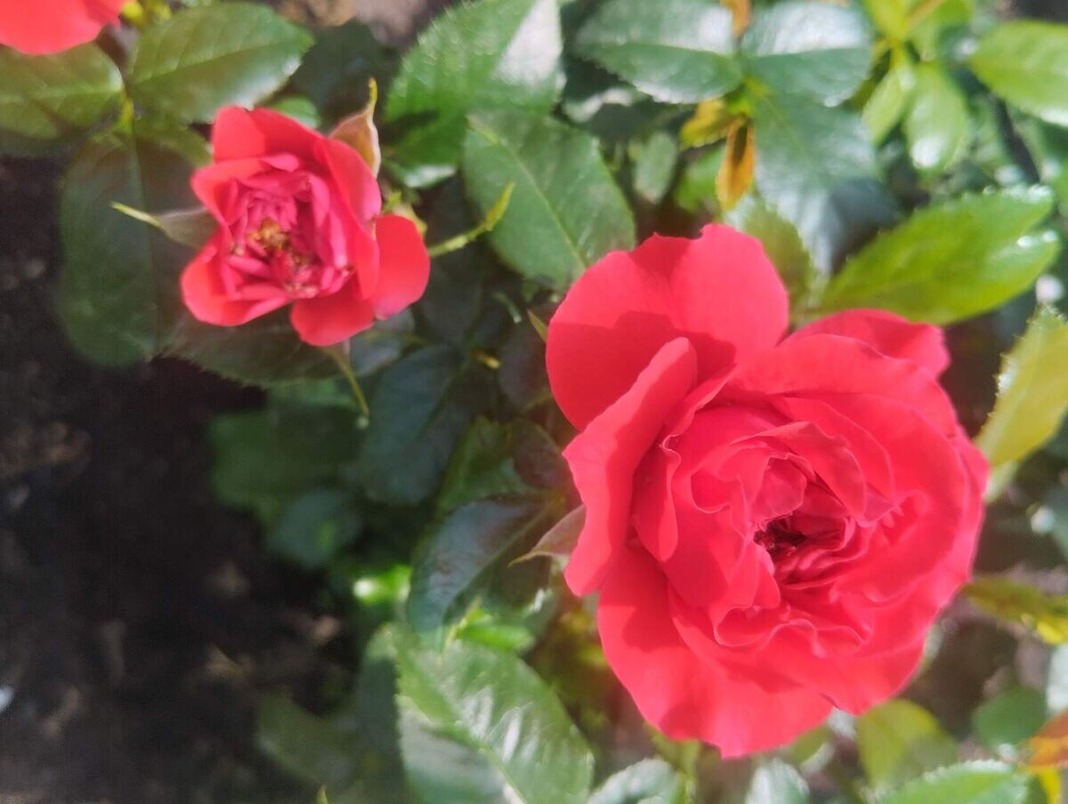 фото Татьяны