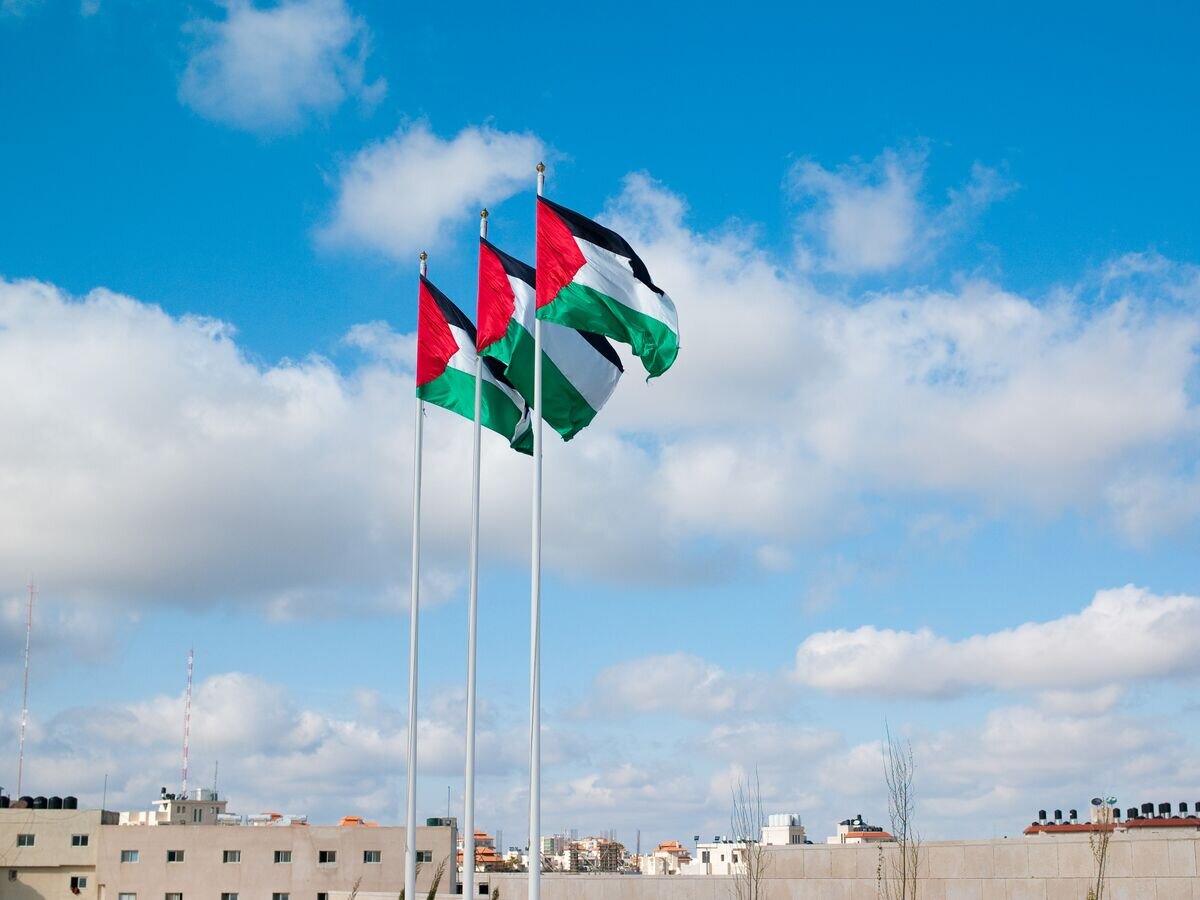    Флаги ПалестиныCC BY 2.0 / Joi / Palestinian flags