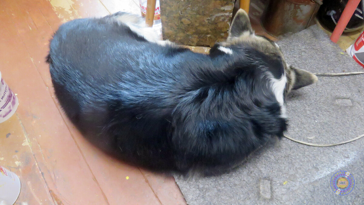 А, это – я не знаю, кто! Говорят, что живет с нами, старожил какой-то! Ну, да, пусть живёт! Его ремонтировать потом будем!))
