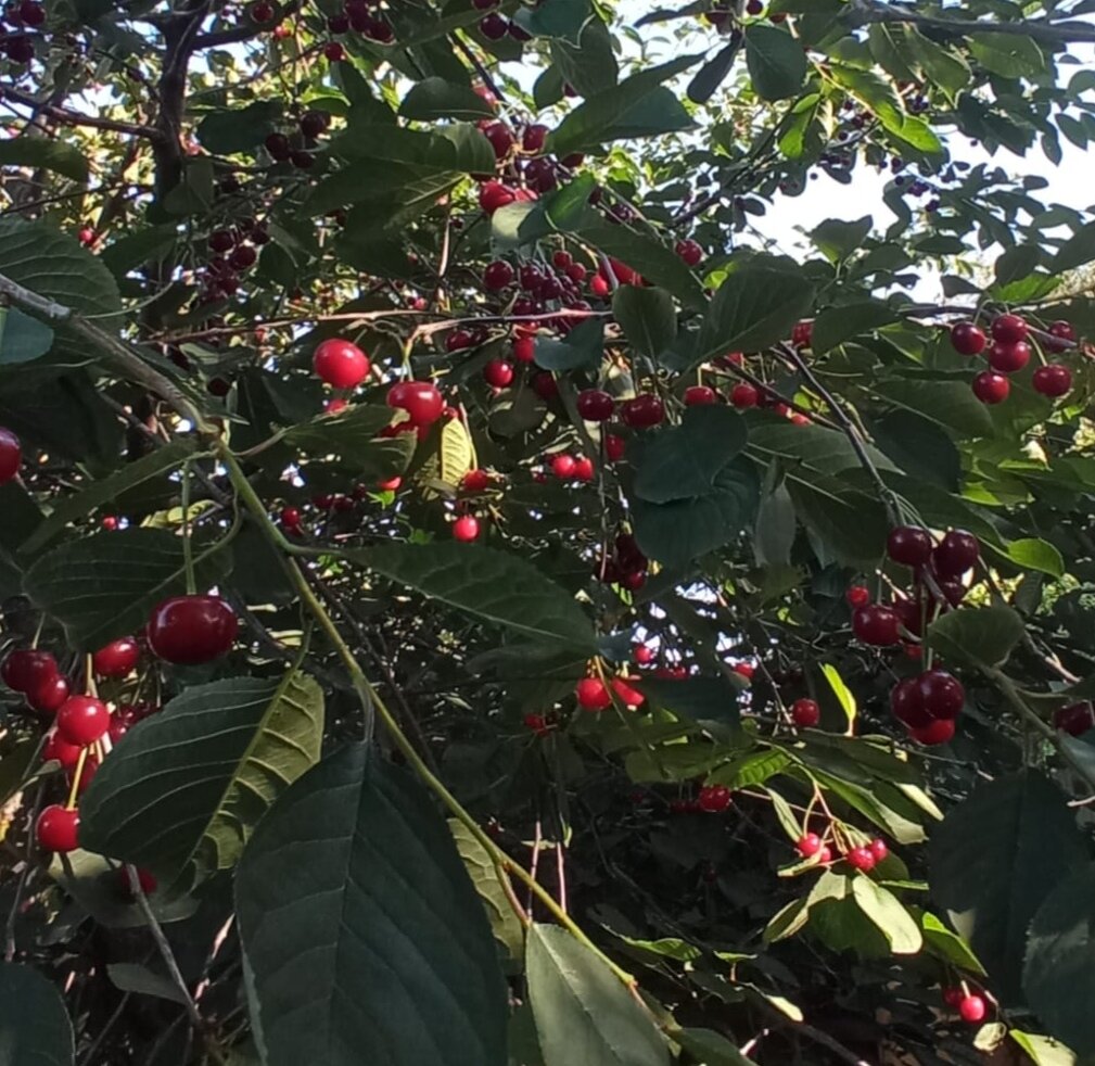 Фото автора канала. 