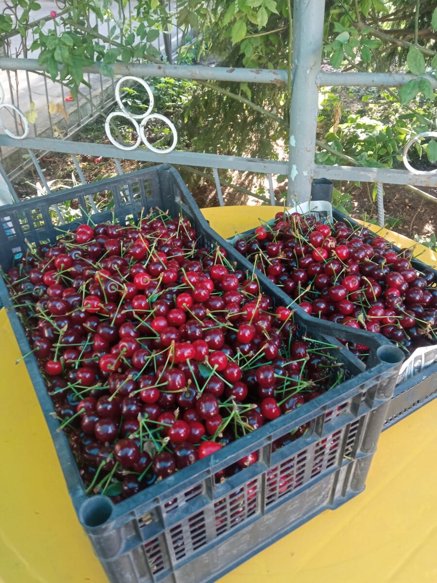 Фото автора. канала