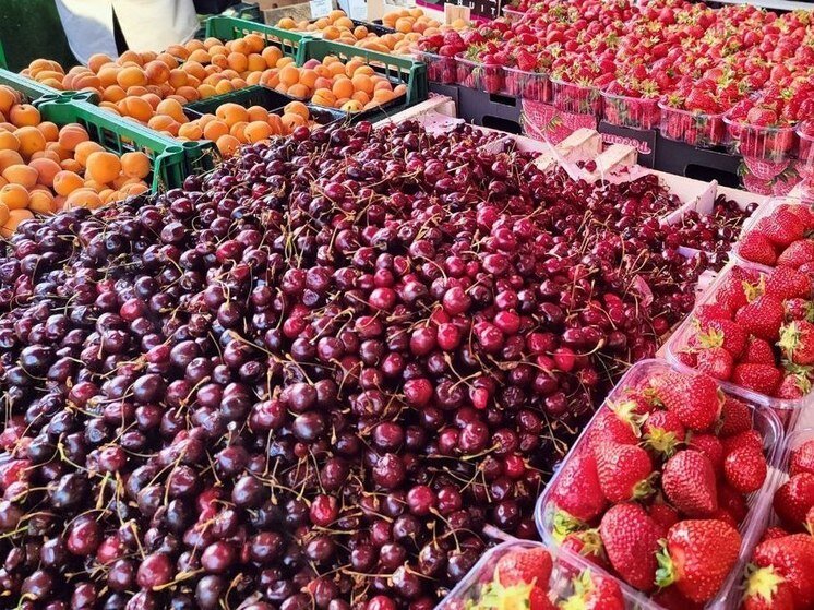     Фото: МК в Питере