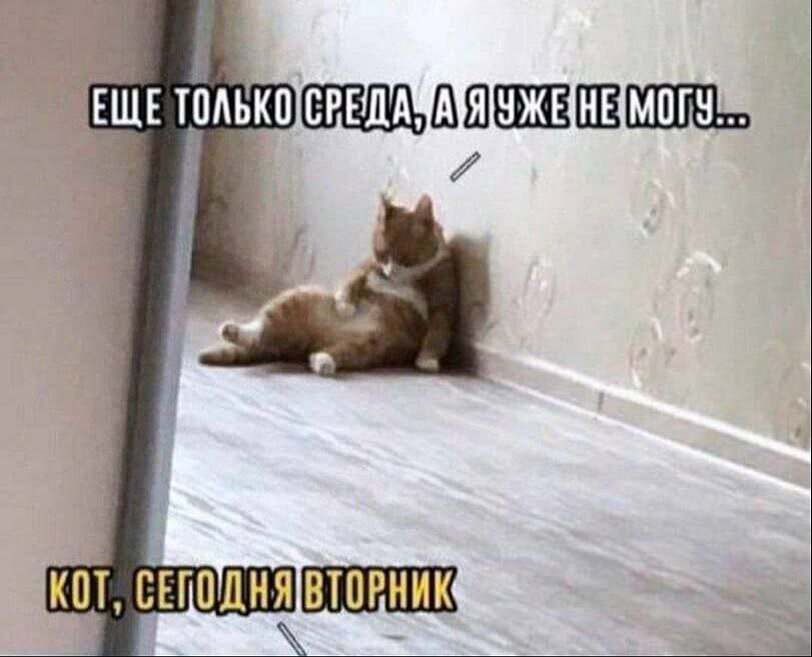 Мем из интернета в тему 😉