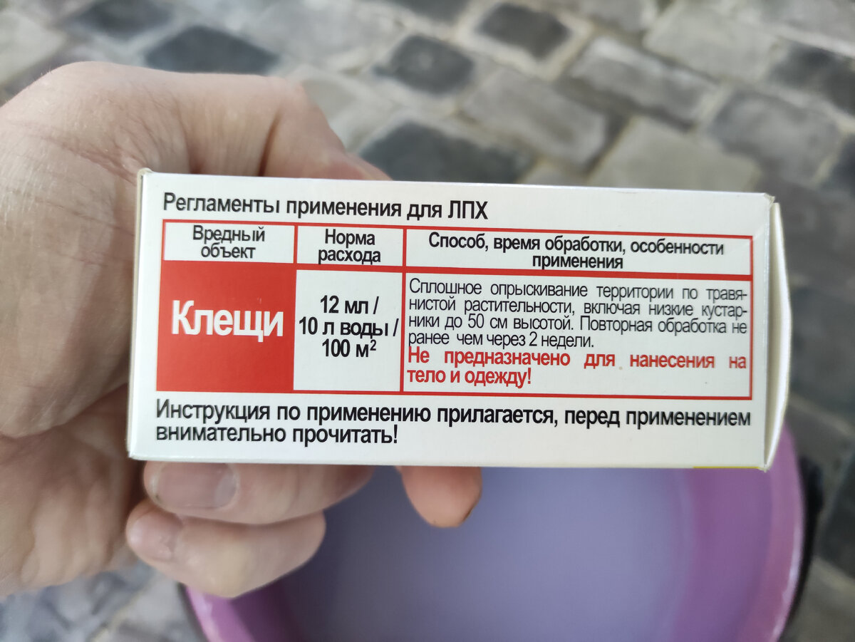 ���� ������