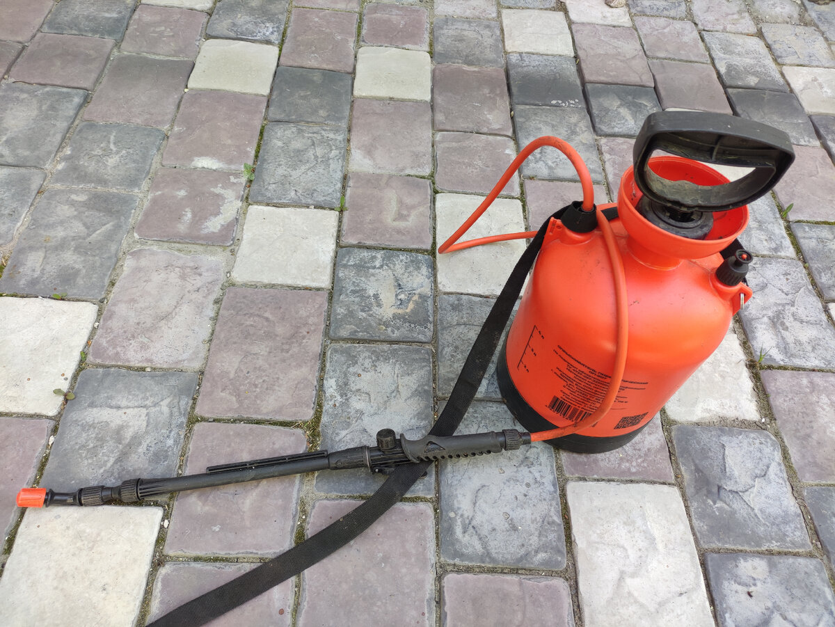 ���� ������