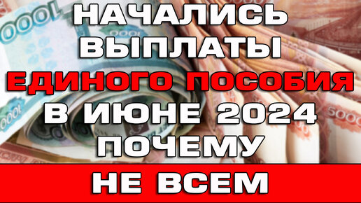 Начались выплаты Единого пособия в июне 2024 Почему пособия не пришли