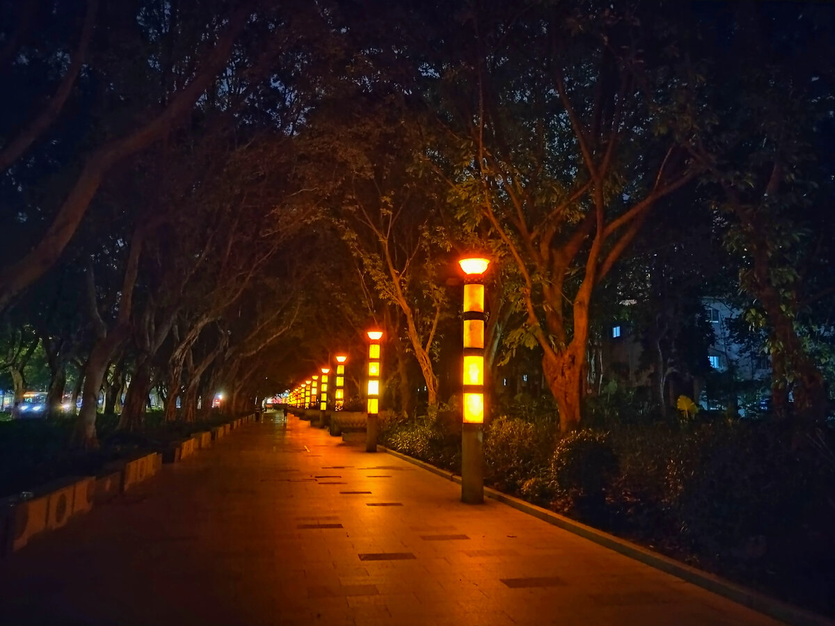 Гуанчжоу ночью (из фотоархива автора блога)