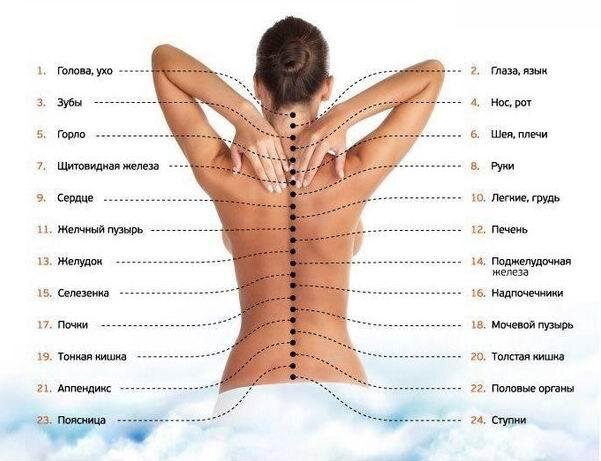 Фото: tailandika.ru