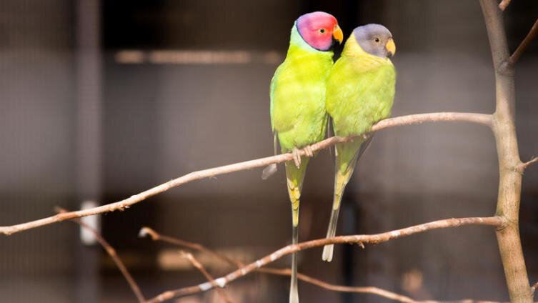     Фото: Ekaterina Pokrovsky, по лицензии shutterstock.com