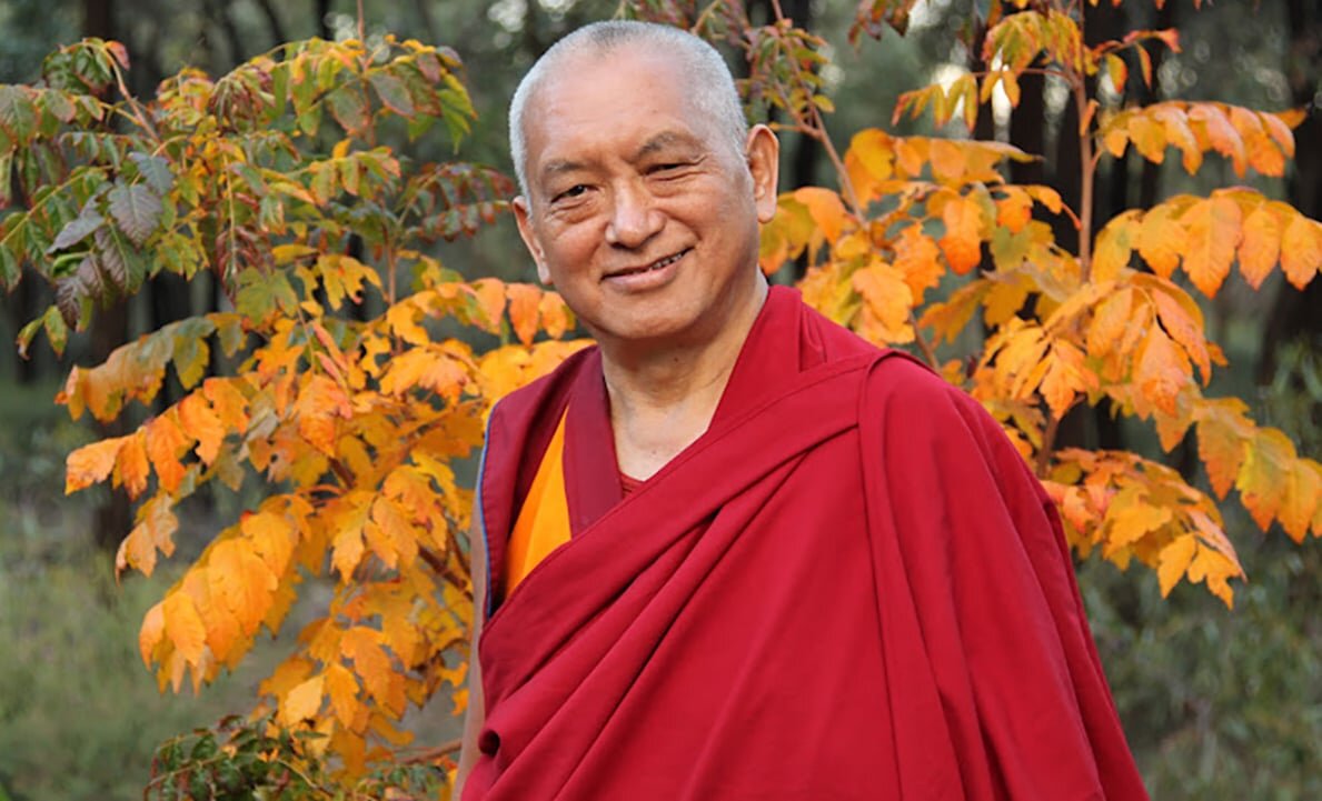 Фотография с сайта проекта Wisdomexperience.