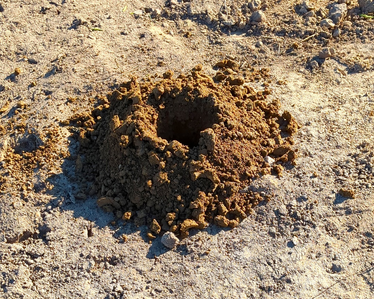 Пробное бурение почвы. Фото автора Sever_Sad