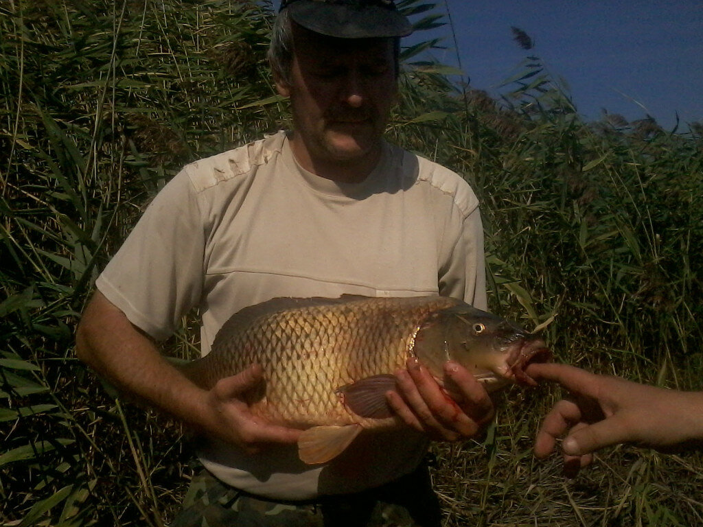 Не клади палец- откусит...