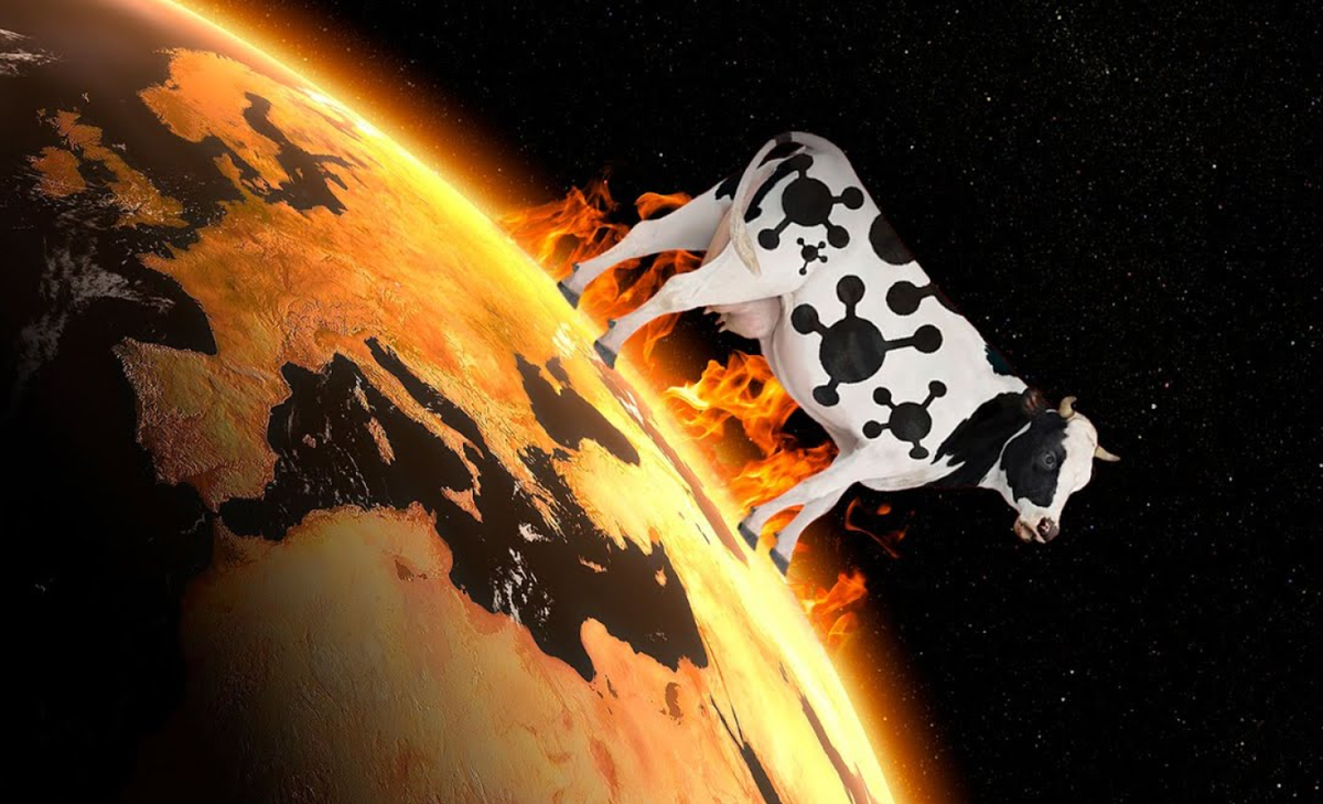 ,   .            . ,    ,   .